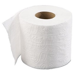 A roll of white toilet paper.