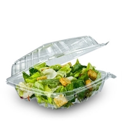 clear hinged container