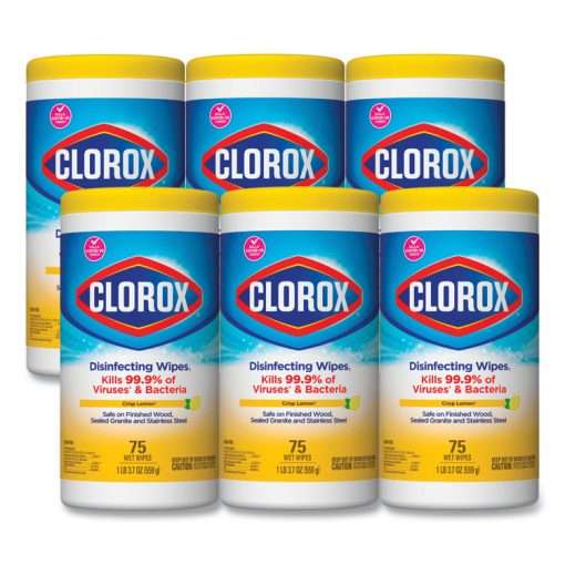 6 containers of clorox disinfecting wipes