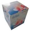 Box of facial tissue