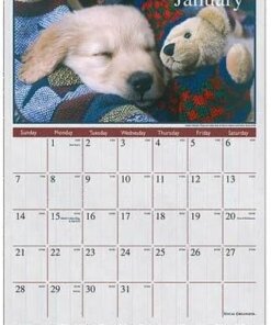 At-A-Glance Puppies Monthly Wall Calendar