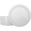 AJM Dinnerware Paper Plates