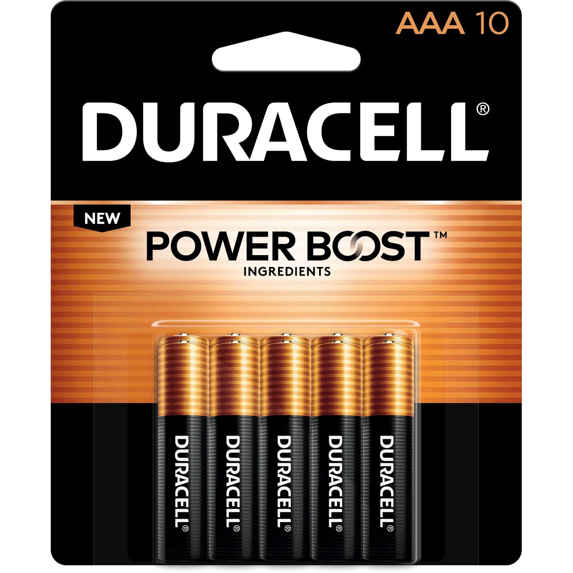 Duracell Coppertop Alkaline AAA Battery - MN2400 - For Multipurpose - AAA - 1.5 V DC - 10 / Pack