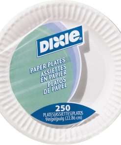 Dixie 9 Inch Uncoated Unprinted Paper Plates - Disposable - White - 250 / Pack