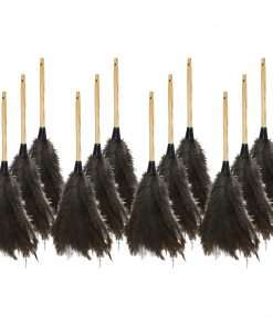 Genuine Joe Feather Duster - 12 / Carton - Brown