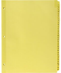 Business Source Preprinted 1-31 Tab Index Dividers