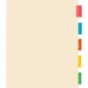 Business Source Color Tab Pocket Binder Dividers