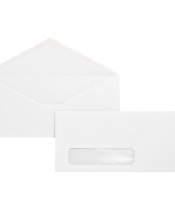 Business Source No. 10 Diagonal Seam Window Envelopes