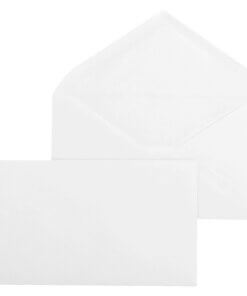 Business Source Diagonal Seam No. 9 Envelopes