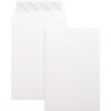 Business Source Self-Seal 6"x9" Catalog Envelopes