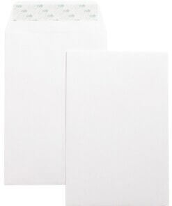 Business Source Self-Seal 6"x9" Catalog Envelopes