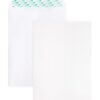 Business Source Self Sealing Catalog Envelope