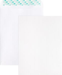 Business Source Self Sealing Catalog Envelope