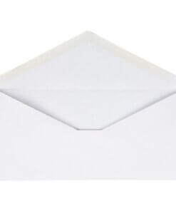 Business Source No. 10 V-Flap Envelopes