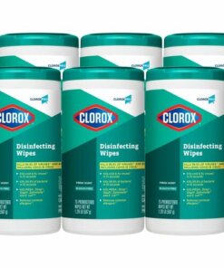 6 clorox wipes