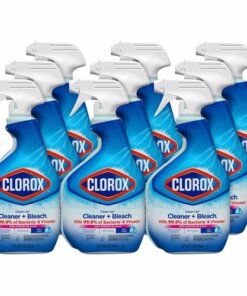 9 bottles of clorox clean up