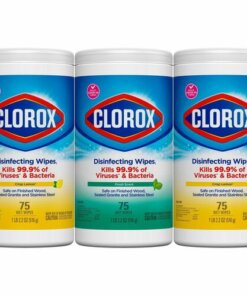 Clorox Disinfecting Bleach Free Cleaning Wipes Value Pack