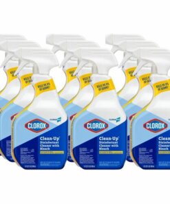 6 clorox clean up with bleach