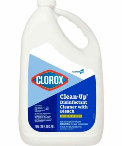 clorox clean up with bleach