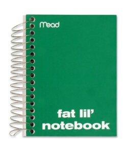 Mead Fat Lil' Notebook - 200 Sheets - Wire Bound - 4" x 5 1/2" - White Paper - AssortedCardboard Cover - Perforated - 1 Each