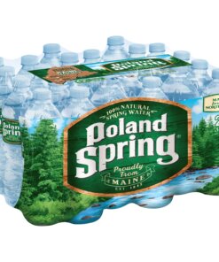 Poland Spring Bottled Spring Water - Ready-to-Drink - 16.91 fl oz (500 mL) - Bottle - 24 / Carton