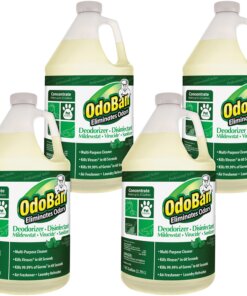 OdoBan Eucalyptus Multi-purpose Deodorizer Disinfectant Concentrate - Concentrate Liquid - 128 fl oz (4 quart) - Eucalyptus Scent - 4 / Carton - Green