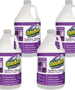 OdoBan Deodorizer Disinfectant Cleaner Concentrate - Concentrate Liquid - 128 fl oz (4 quart) - Lavender Scent - 4 / Carton - Purple