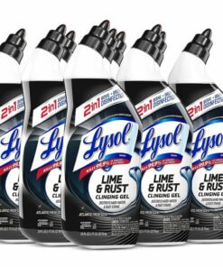 Lysol Lime/Rust Toilet Bowl Cleaner - Liquid - 24 fl oz (0.8 quart) - Atlantic Fresh Scent - 9 / Carton - Blue