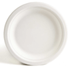 EARTHLY INDIVIDUAL 10" Standard Weight Plate, Round, 10 in Diameter
