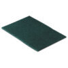General Purpose Scouring Pad
